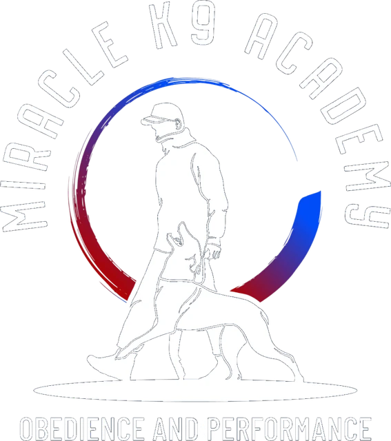 Miracle K9 Academy